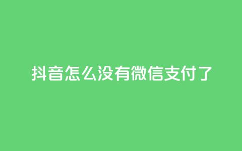 抖音怎么没有微信支付了 第1张 抖音怎么没有微信支付了 第1张