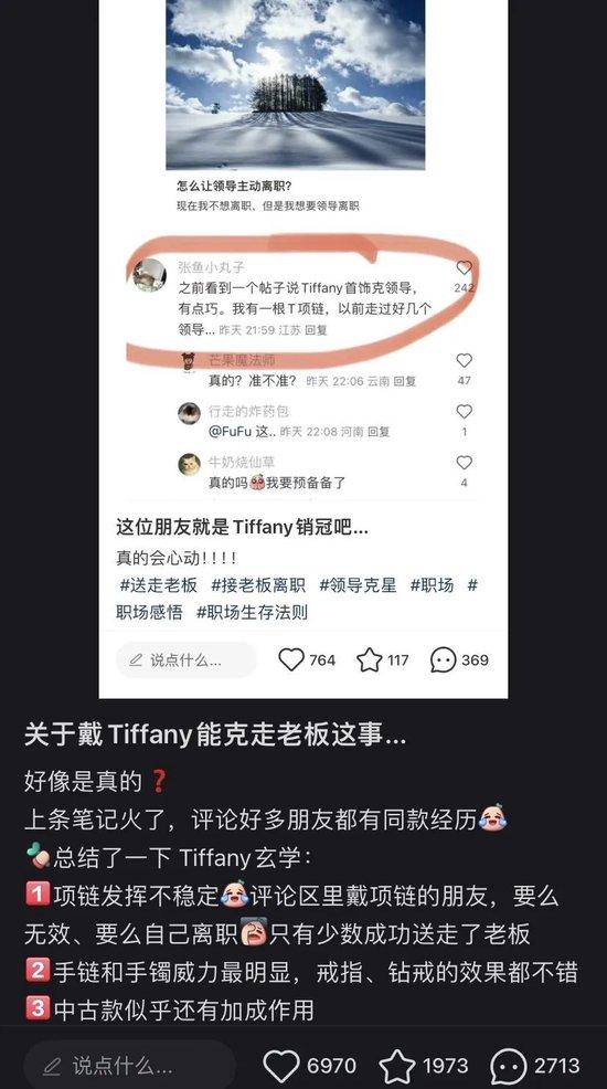 梵克雅宝全球涨价，为什么大家通宵排队买？ 第33张