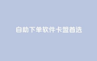 自助下单软件——卡盟首选