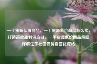 一手货源低价商品，一手货源低价商品怎么卖，打造高效盈利供应链，一手货源低价商品策略详解亿乐社区低价自营货源站