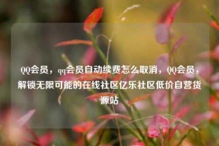 QQ会员，qq会员自动续费怎么取消，QQ会员，解锁无限可能的在线社区亿乐社区低价自营货源站