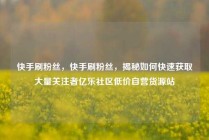 快手刷粉丝，快手刷粉丝，揭秘如何快速获取大量关注者亿乐社区低价自营货源站