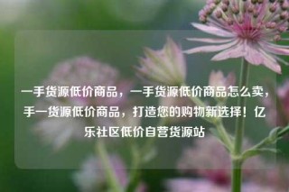 一手货源低价商品，一手货源低价商品怎么卖，手一货源低价商品，打造您的购物新选择！亿乐社区低价自营货源站