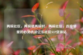 两碗社区，两碗镇两碗村，两碗社区，连接邻里的心灵桥梁亿乐社区SUP货源站