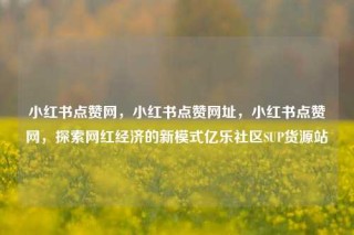 小红书点赞网，小红书点赞网址，小红书点赞网，探索网红经济的新模式亿乐社区SUP货源站