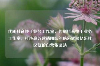 代刷抖音快手业务工作室，代刷抖音快手业务工作室，打造高效营销团队的秘密武器亿乐社区低价自营货源站