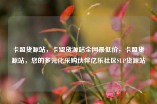 卡盟货源站，卡盟货源站全网最低价，卡盟货源站，您的多元化采购伙伴亿乐社区SUP货源站