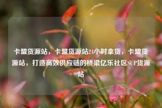 卡盟货源站，卡盟货源站24小时拿货，卡盟货源站，打造高效供应链的桥梁亿乐社区SUP货源站