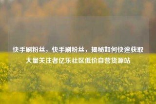 快手刷粉丝，快手刷粉丝，揭秘如何快速获取大量关注者亿乐社区低价自营货源站
