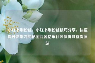 小红书刷粉丝，小红书刷粉丝技巧分享，快速提升影响力的秘密武器亿乐社区低价自营货源站