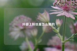 抖音上粉丝是怎么算的