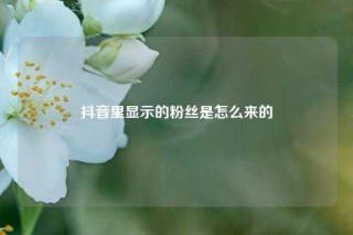 抖音里显示的粉丝是怎么来的