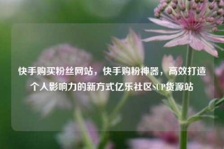 快手购买粉丝网站，快手购粉神器，高效打造个人影响力的新方式亿乐社区SUP货源站