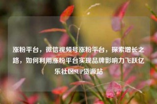 涨粉平台，微信视频号涨粉平台，探索增长之路，如何利用涨粉平台实现品牌影响力飞跃亿乐社区SUP货源站
