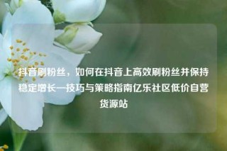 抖音刷粉丝，如何在抖音上高效刷粉丝并保持稳定增长—技巧与策略指南亿乐社区低价自营货源站