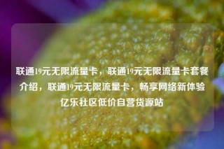联通19元无限流量卡，联通19元无限流量卡套餐介绍，联通19元无限流量卡，畅享网络新体验亿乐社区低价自营货源站