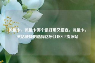 流量卡，流量卡哪个最好用又便宜，流量卡，灵活便捷的选择亿乐社区SUP货源站