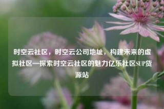 时空云社区，时空云公司地址，构建未来的虚拟社区—探索时空云社区的魅力亿乐社区SUP货源站