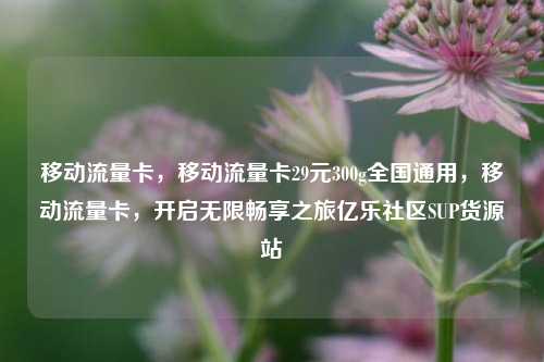 移动流量卡，移动流量卡29元300g全国通用，移动流量卡	，开启无限畅享之旅亿乐社区SUP货源站  第1张