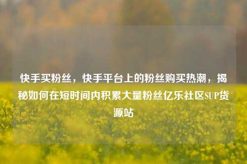 快手买粉丝，快手平台上的粉丝购买热潮	，揭秘如何在短时间内积累大量粉丝亿乐社区SUP货源站  第1张