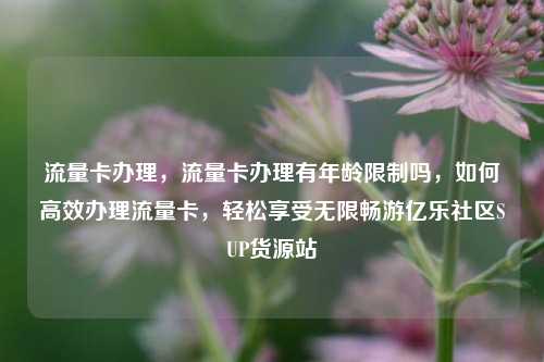 流量卡办理，流量卡办理有年龄限制吗，如何高效办理流量卡，轻松享受无限畅游亿乐社区SUP货源站  第1张