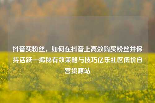 抖音买粉丝	，如何在抖音上高效购买粉丝并保持活跃—揭秘有效策略与技巧亿乐社区低价自营货源站  第1张