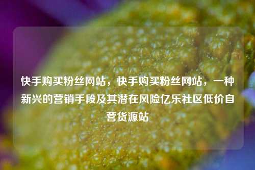 快手购买粉丝网站，快手购买粉丝网站	，一种新兴的营销手段及其潜在风险亿乐社区低价自营货源站  第1张
