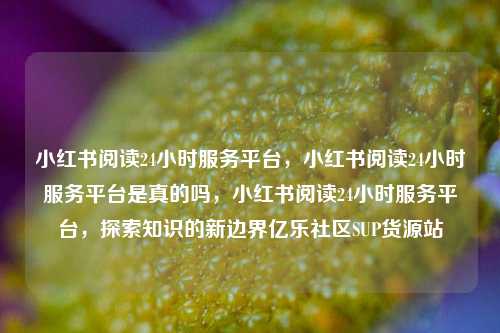 小红书阅读24小时服务平台	，小红书阅读24小时服务平台是真的吗，小红书阅读24小时服务平台，探索知识的新边界亿乐社区SUP货源站  第1张